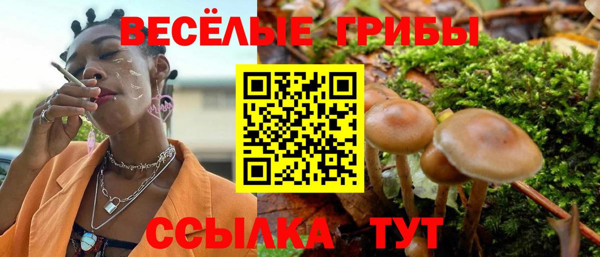 Галлюциногенные грибы Cubensis Миллерово